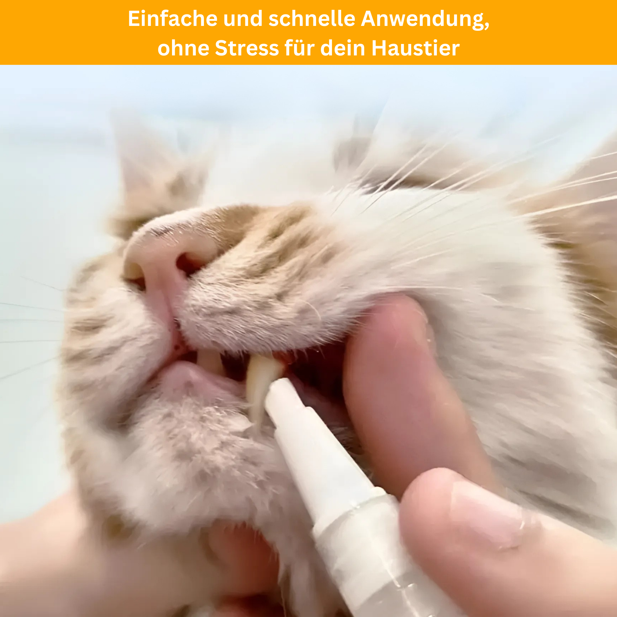 Dental Care Pen for Pets