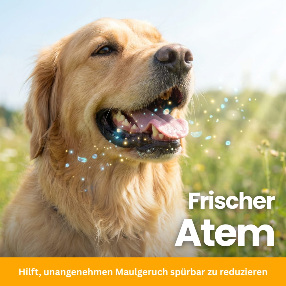 Digestive Complex for Dogs – Chewable Tablets to Stop Coprophagia