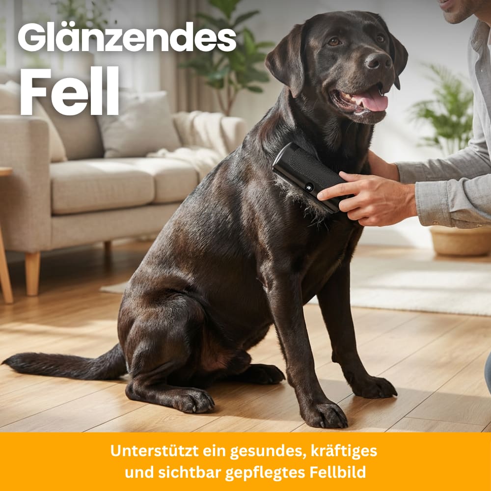 Premium Dog Grooming Brush