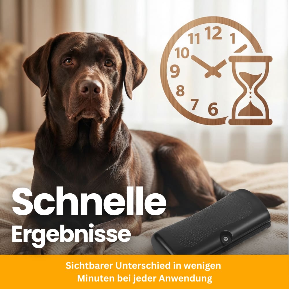 Premium Dog Grooming Brush