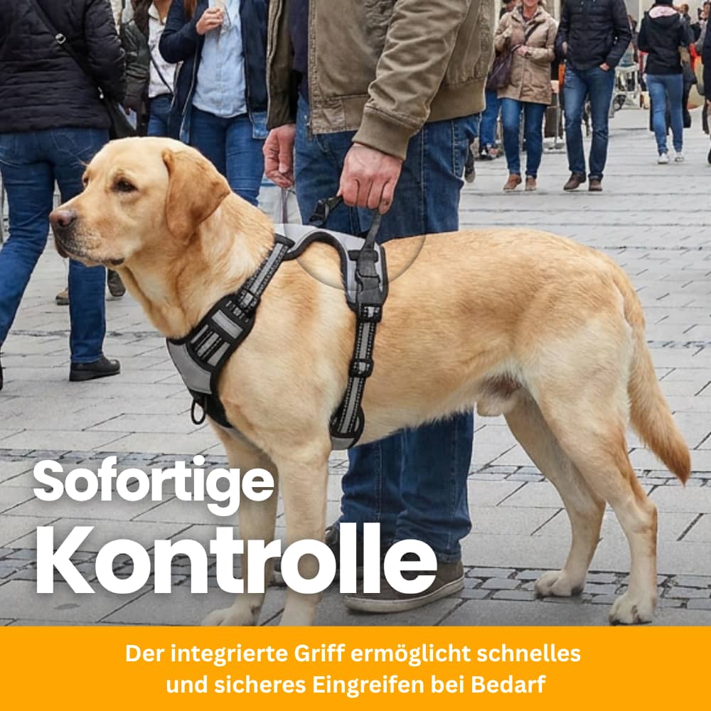 Gepolstertes Anti-Zug Hundegeschirr