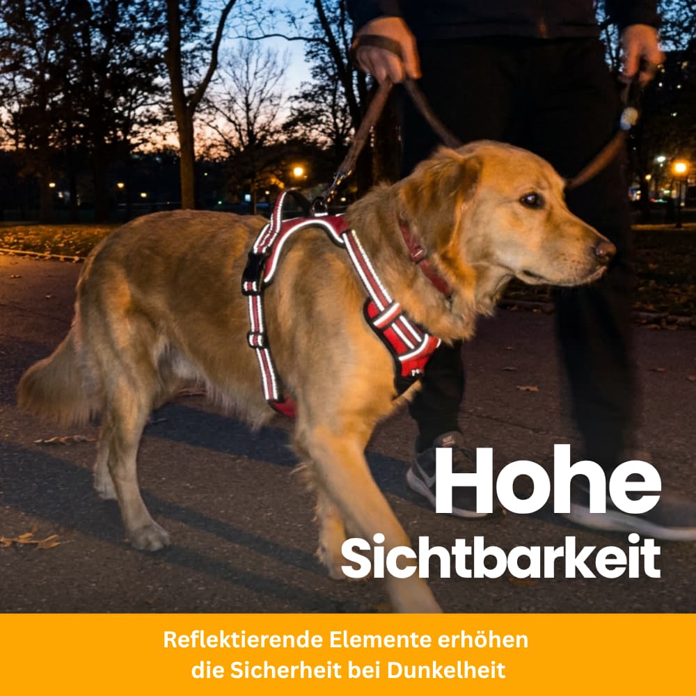 Gepolstertes Anti-Zug Hundegeschirr