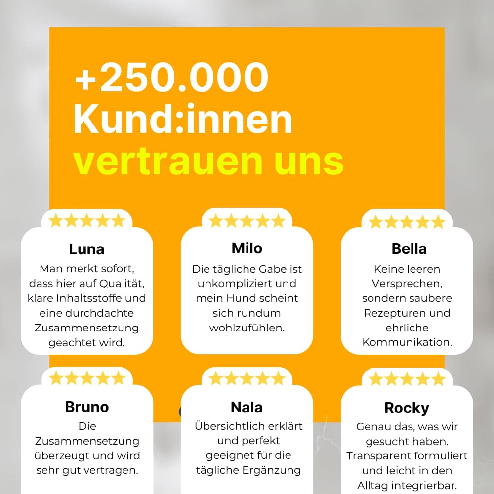 Flea & Tick Protection Chewable Tablets