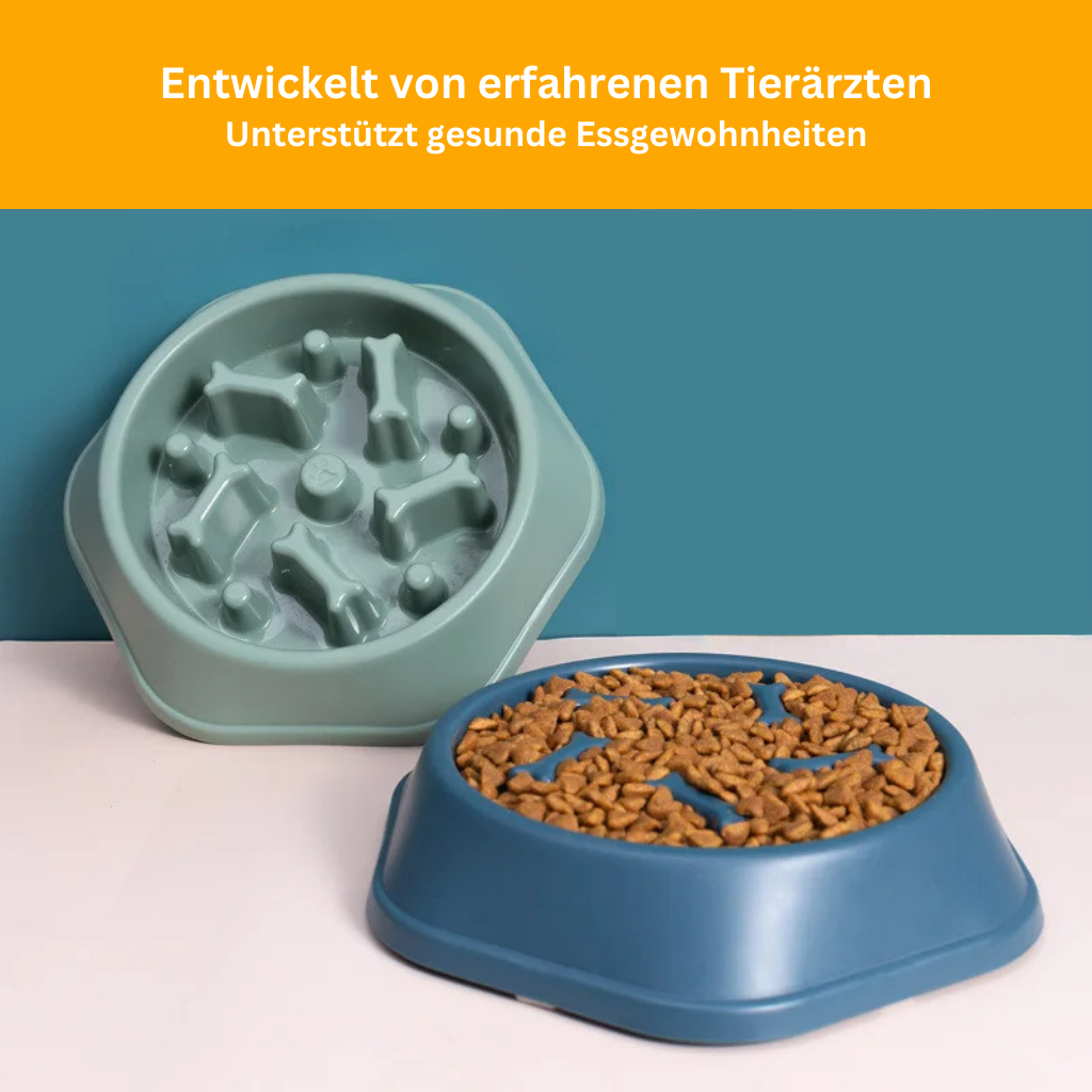 VitalFeeder – Health Bowl