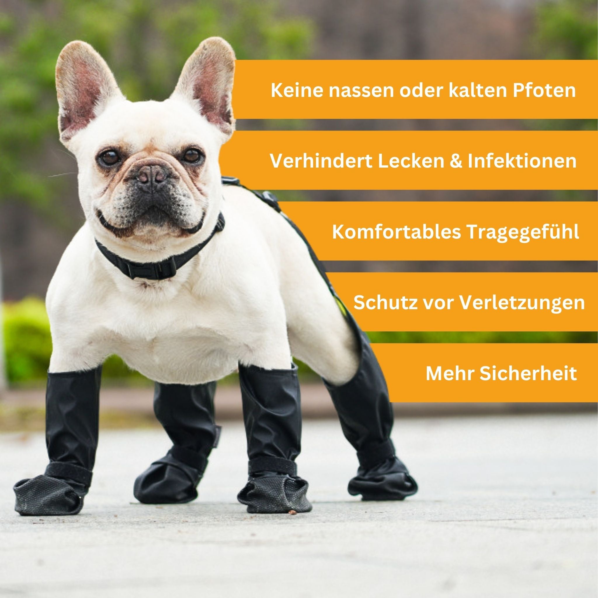 PawGrip – Waterproof & Non-Slip Dog Shoes