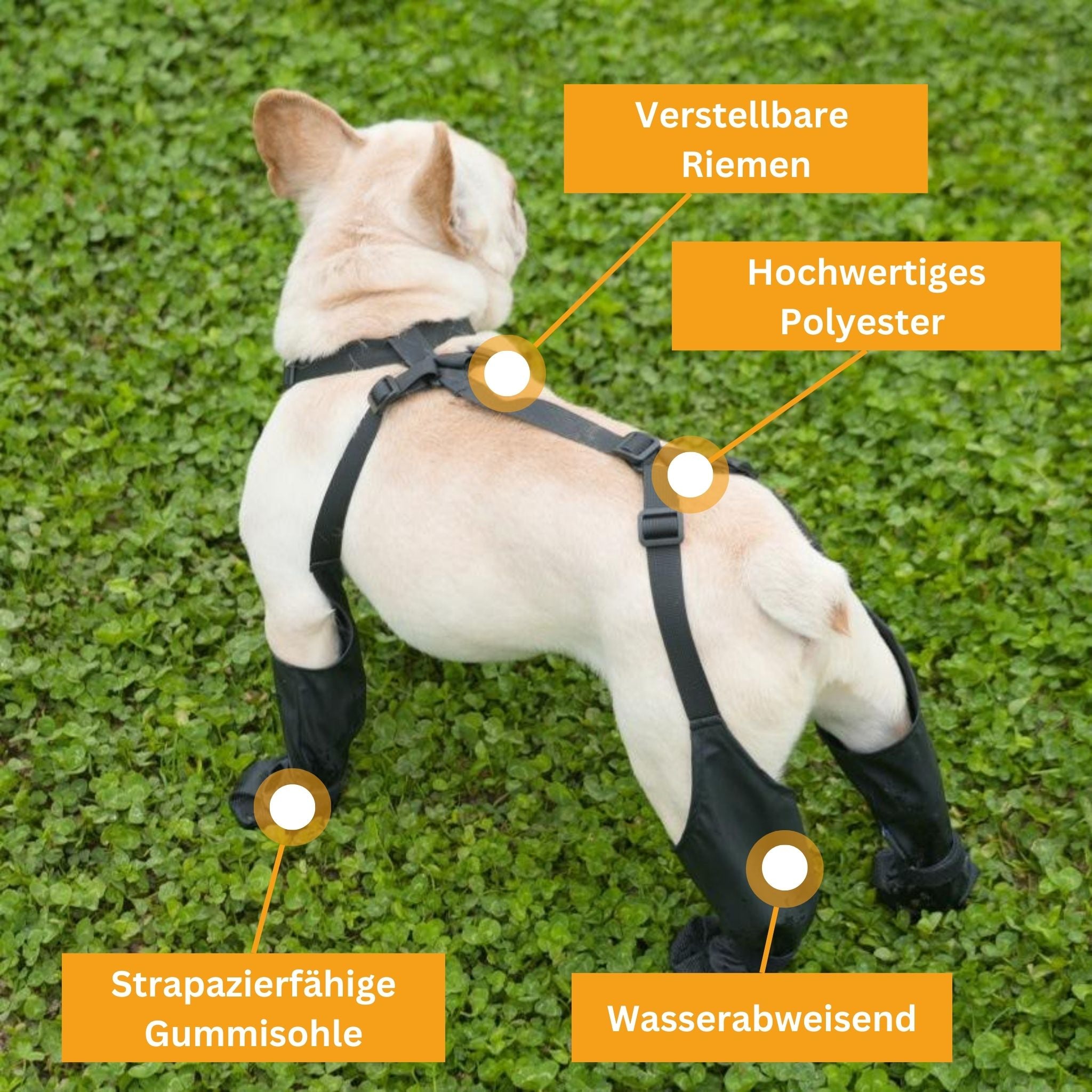 PawGrip – Waterproof & Non-Slip Dog Shoes