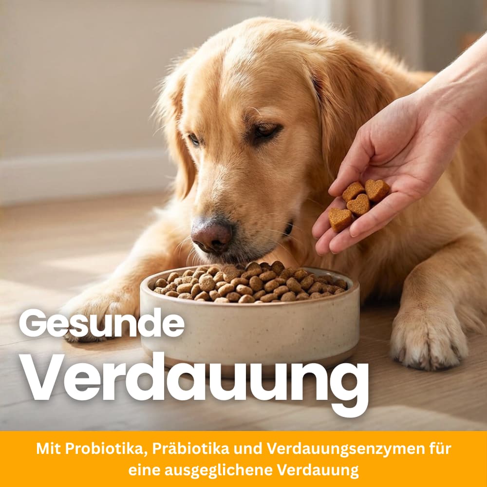 Probiotic Soft Pellets for Dogs & Puppies