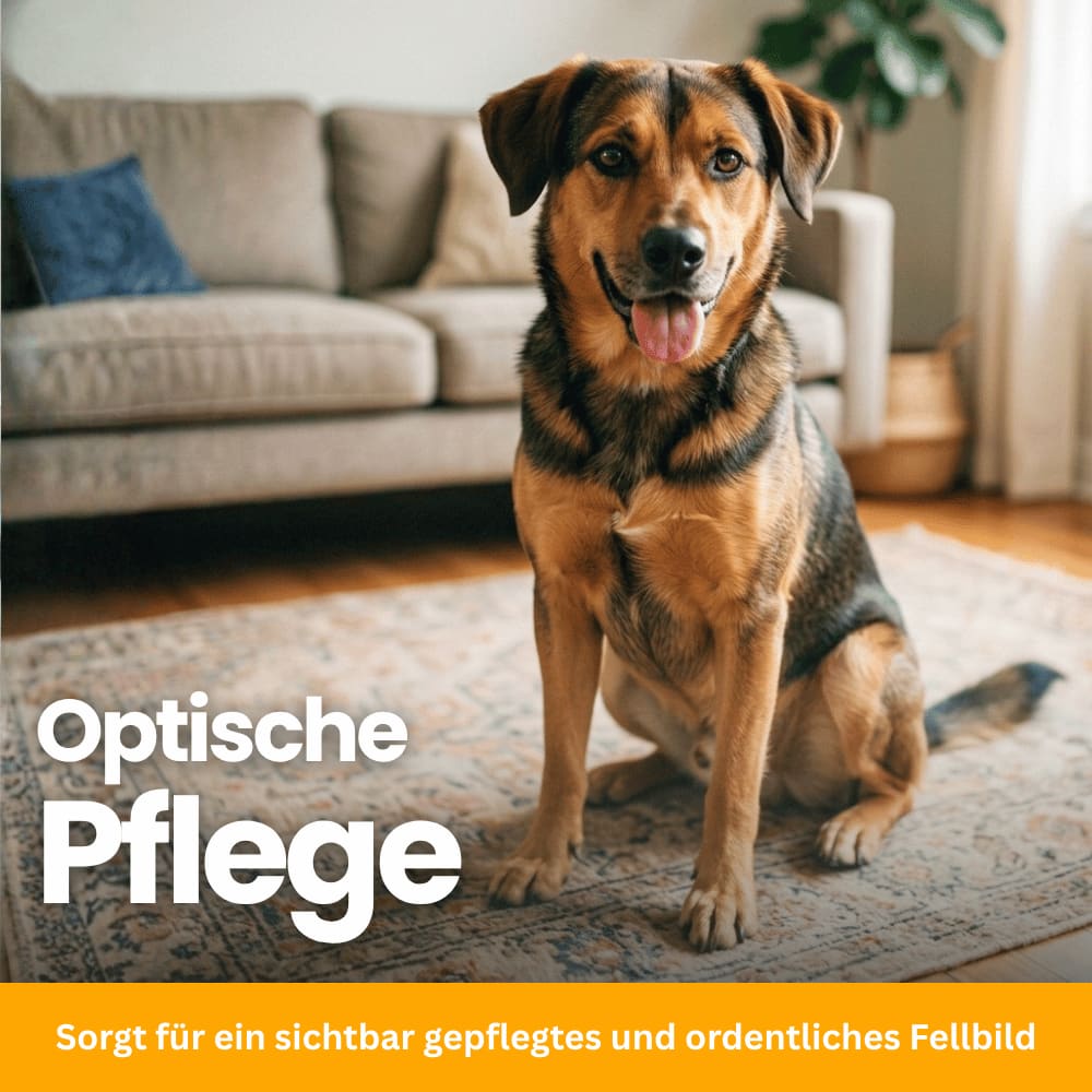 FurClean – Gentle Grooming Brush for Dogs & Cats