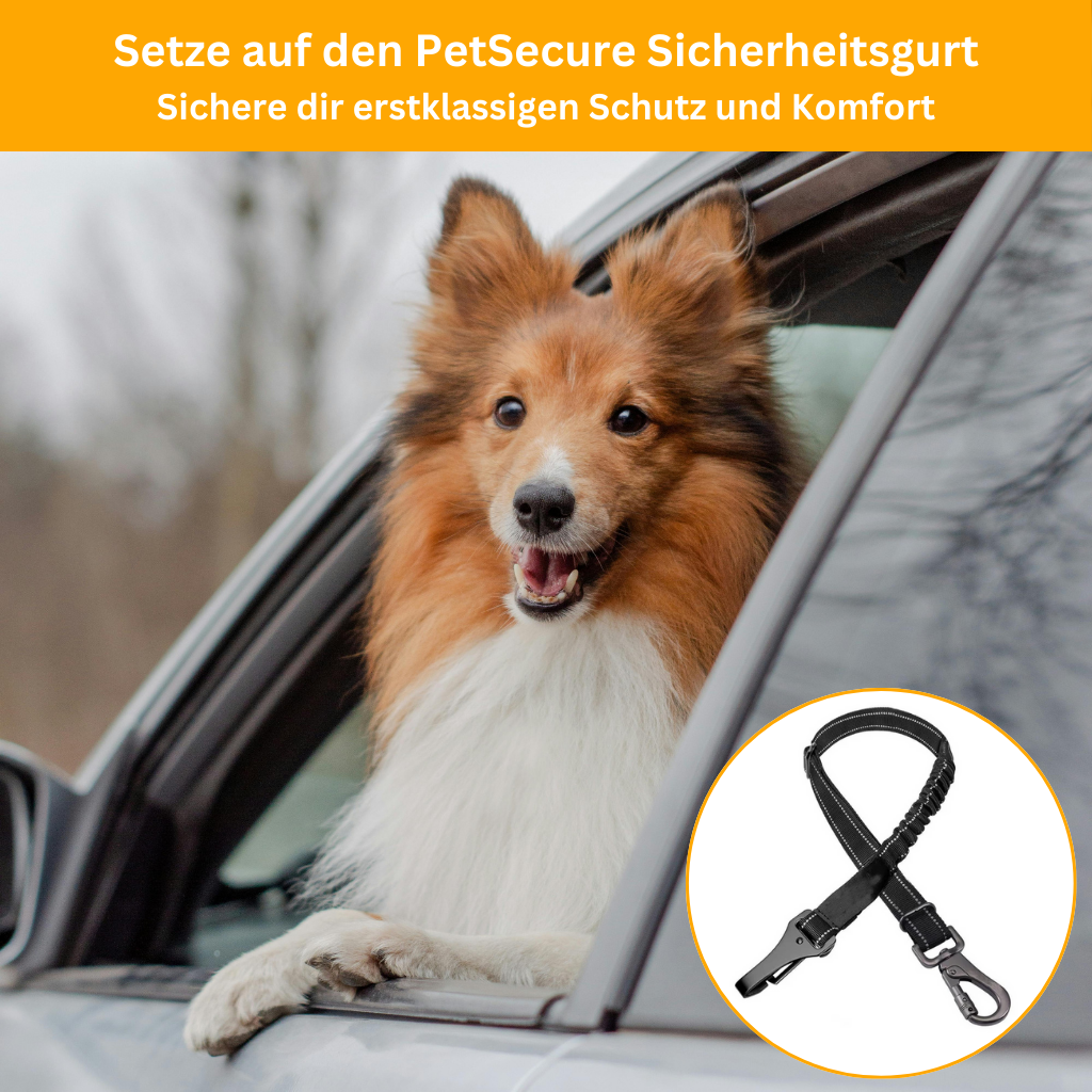 PetSecure 3-in-1 Safety Harness