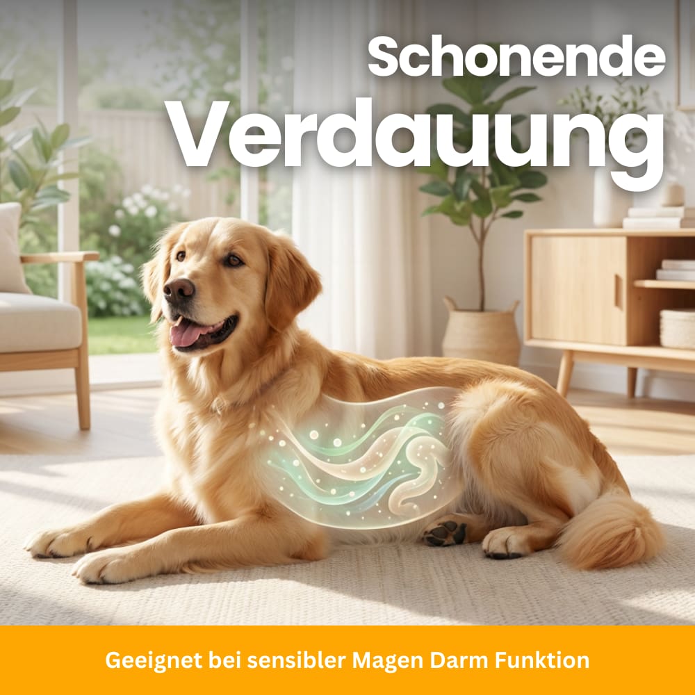 Daily Gut Flora Probiotics For Dogs