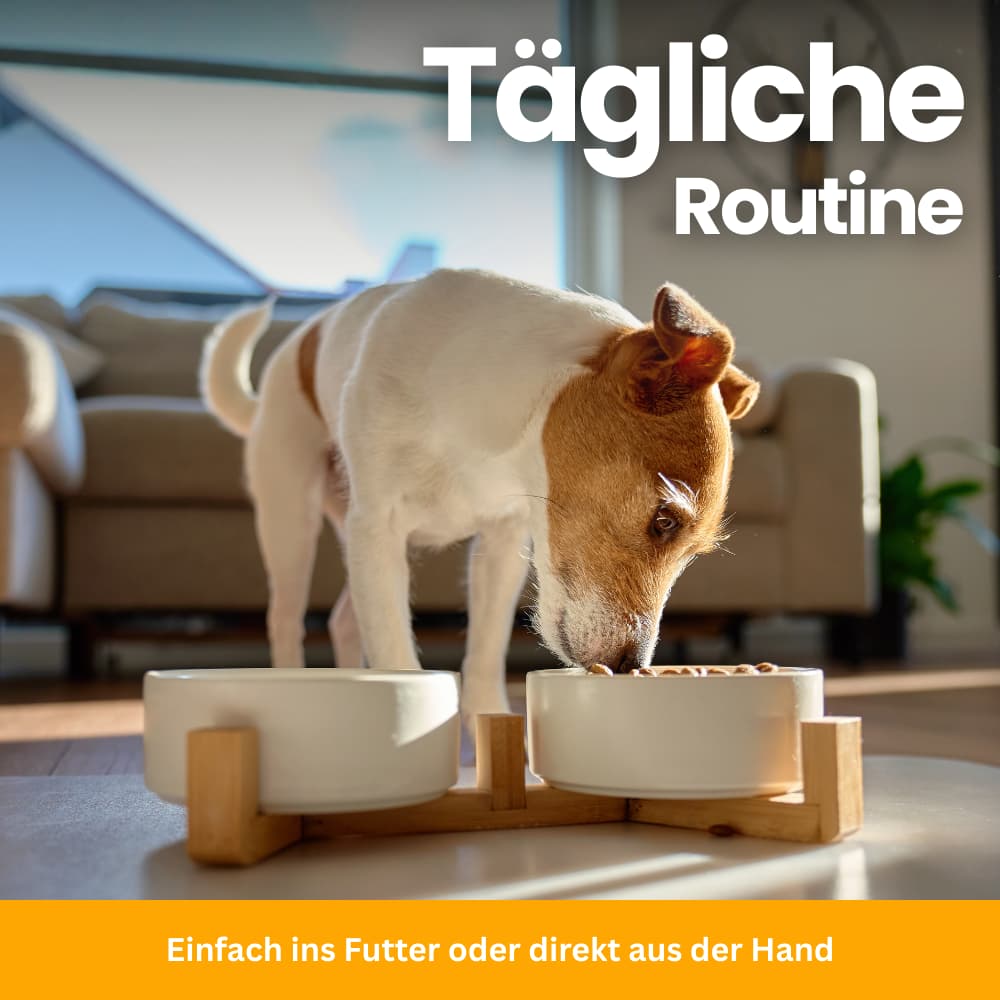 Flea & Tick Protection Chewable Tablets