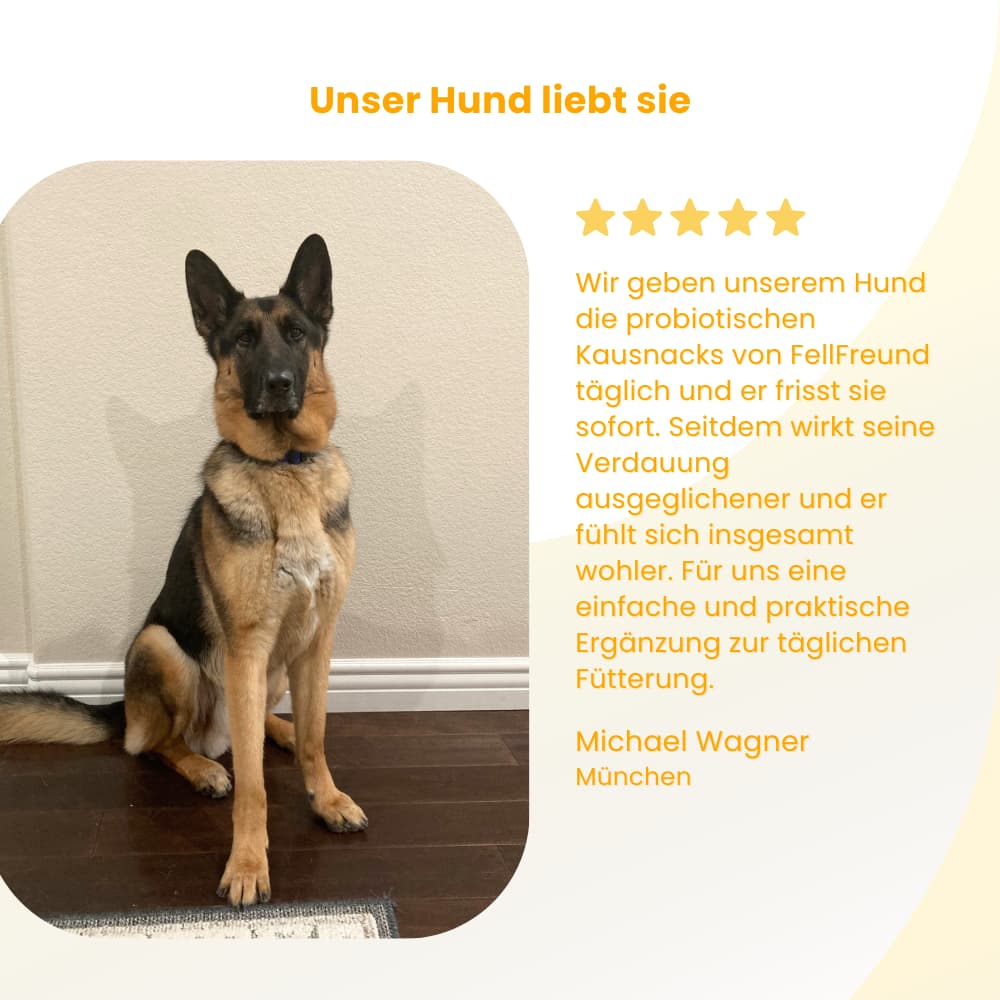 Probiotic Chews for Dogs – Gut & Immune System Support