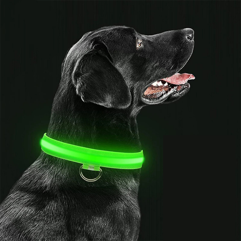 LED Light-Up Collar [Buy 1 Get 1 Free]