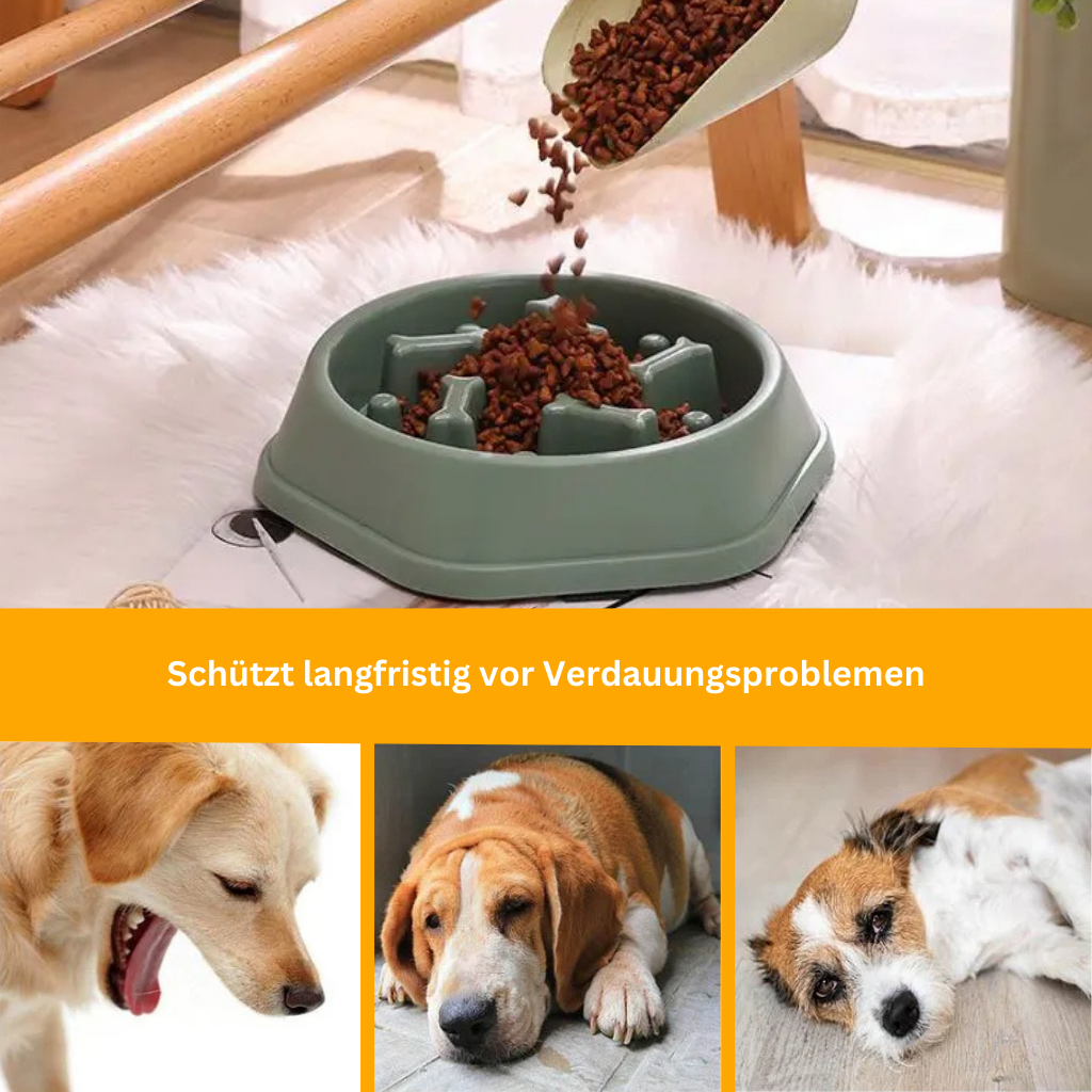 VitalFeeder – Health Bowl
