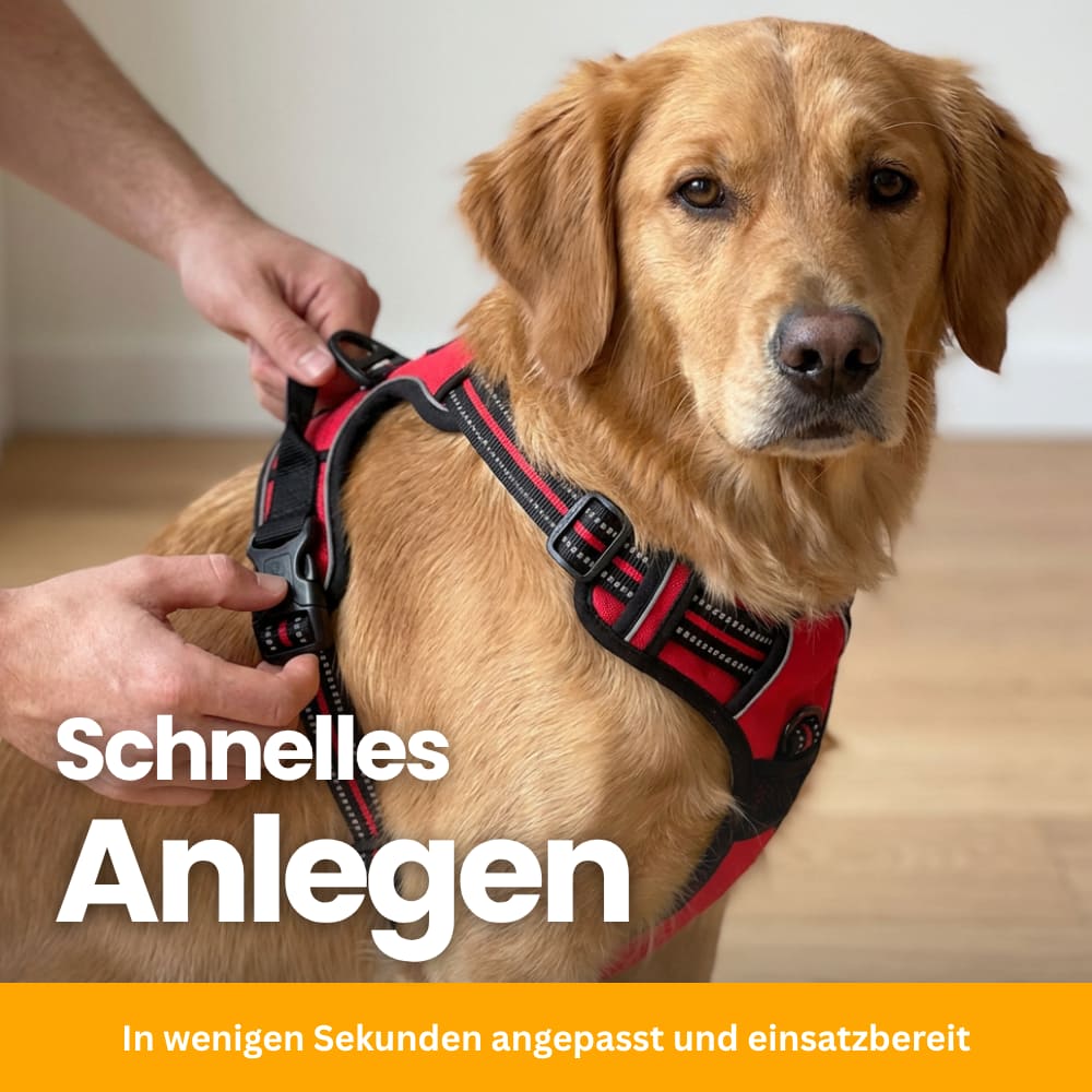 Gepolstertes Anti-Zug Hundegeschirr