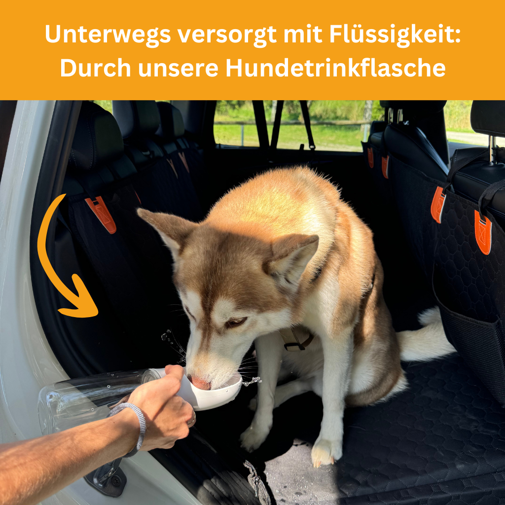 Stable Backseat Protector – Bundle