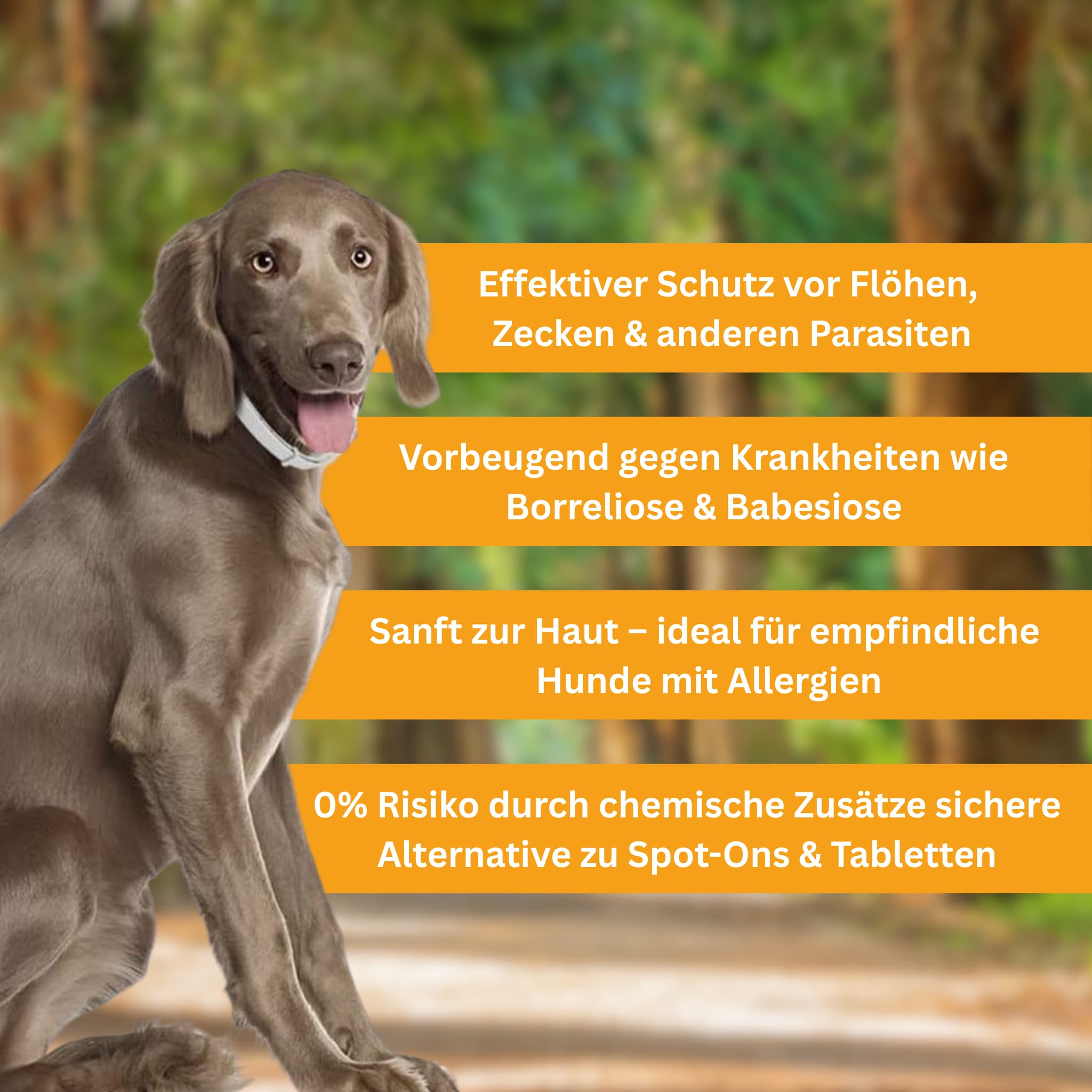 Flea and tick protection collar for dogs [Double-Up Offer]