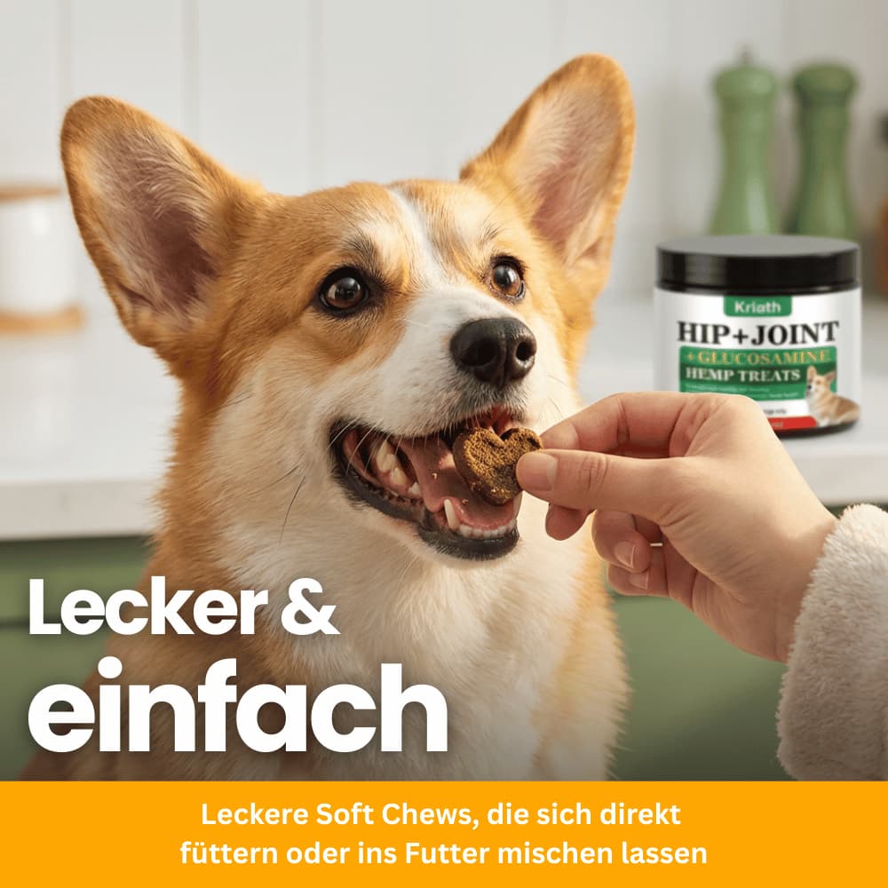 Joint Chews for Dogs with Glucosamine