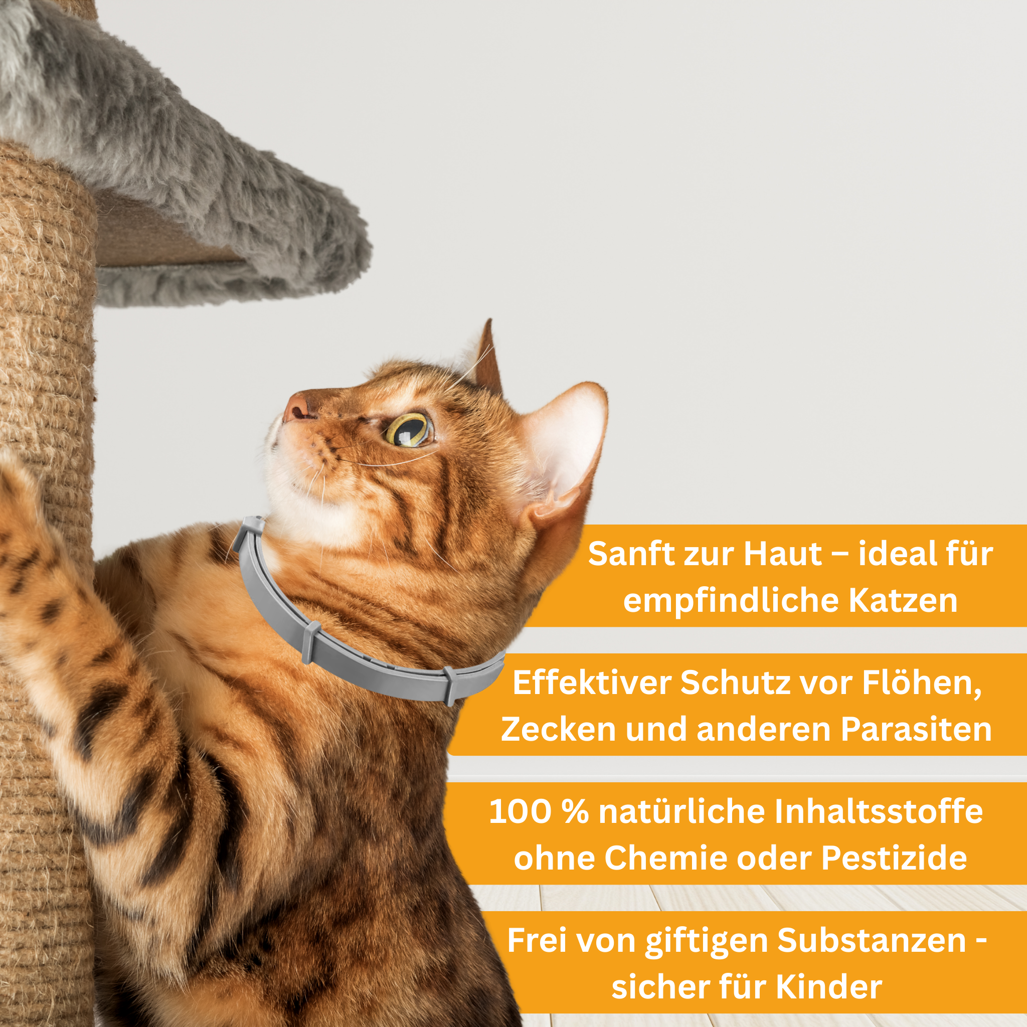 Flea and Tick Protection Collar for Cats