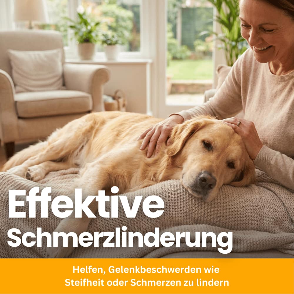 Joint Chews for Dogs with Glucosamine