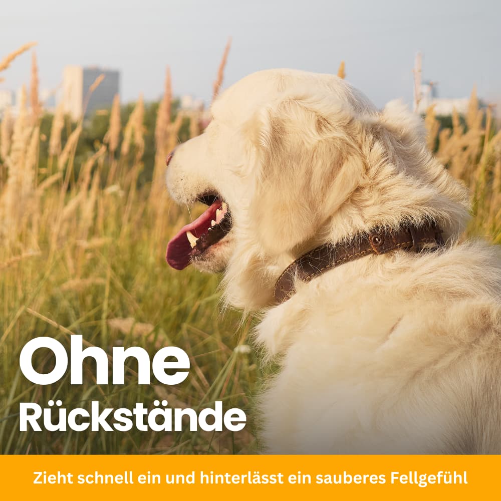 FellGuard Flea & Tick Spray