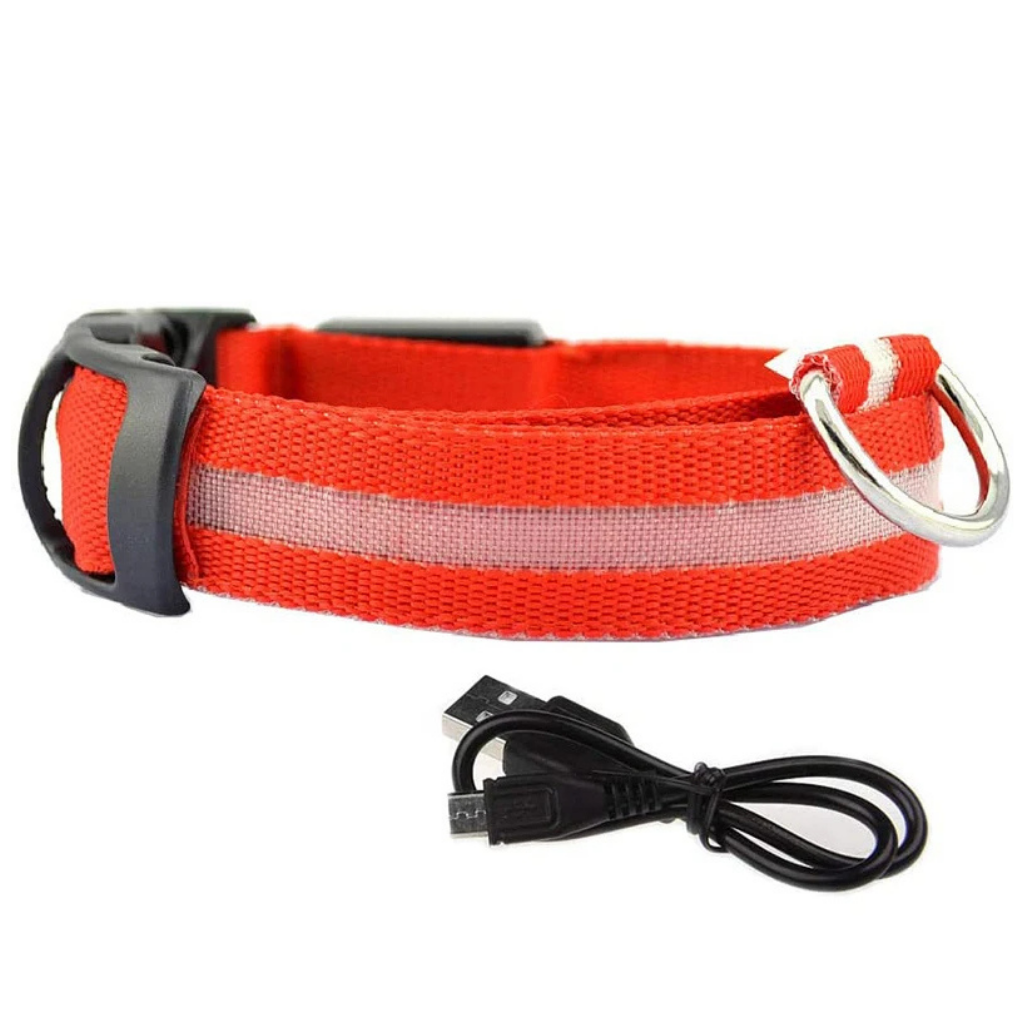 LED Light-Up Collar [Buy 1 Get 1 Free]