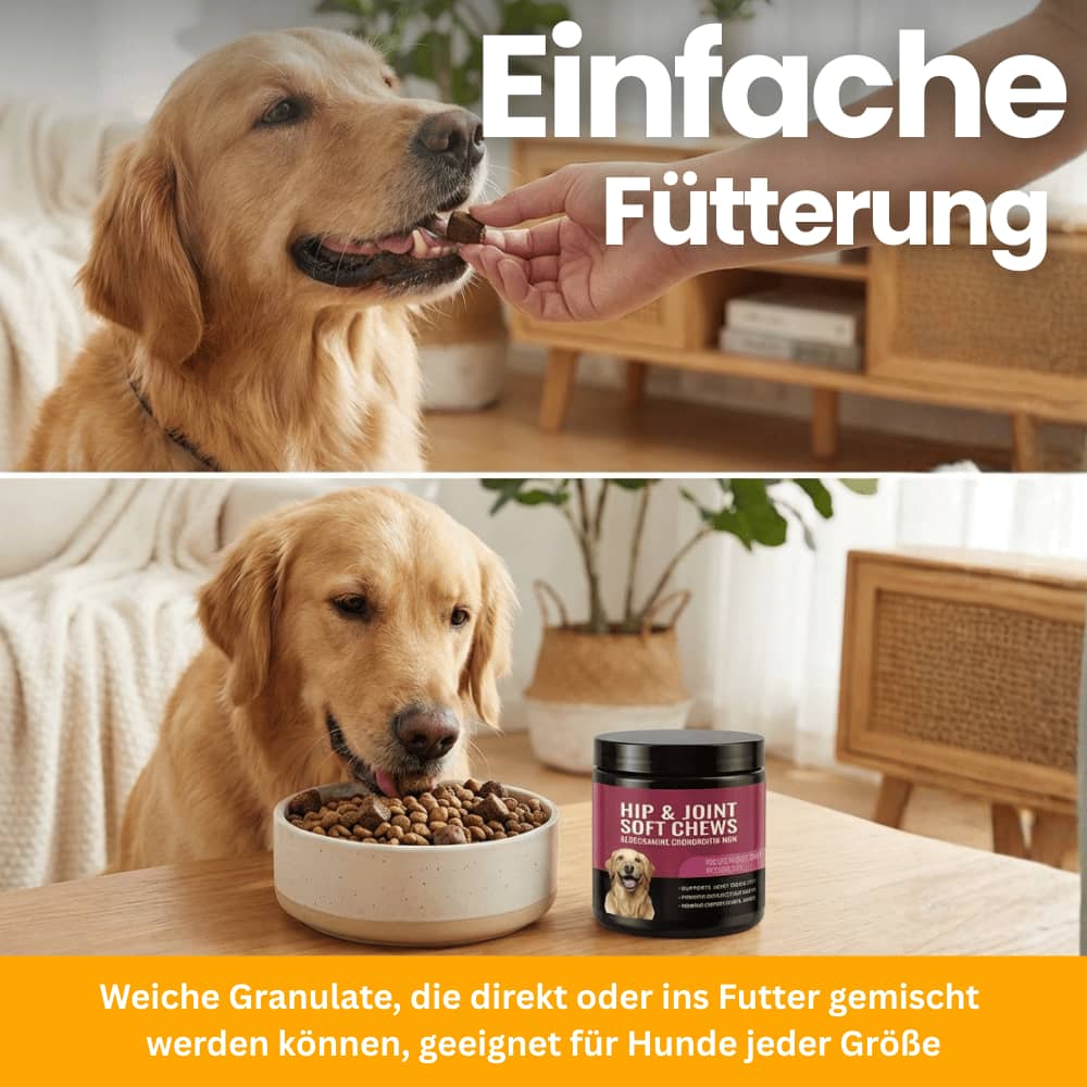 Hip & Joint Soft Chews for Dogs