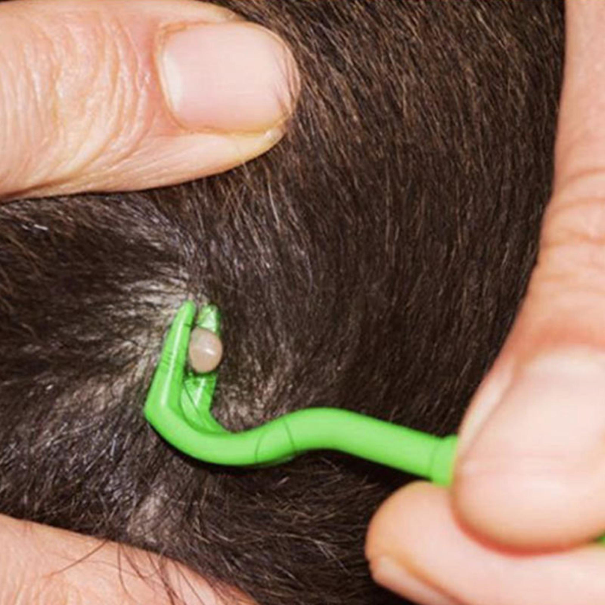 Handy Tick Remover (Set of 3)