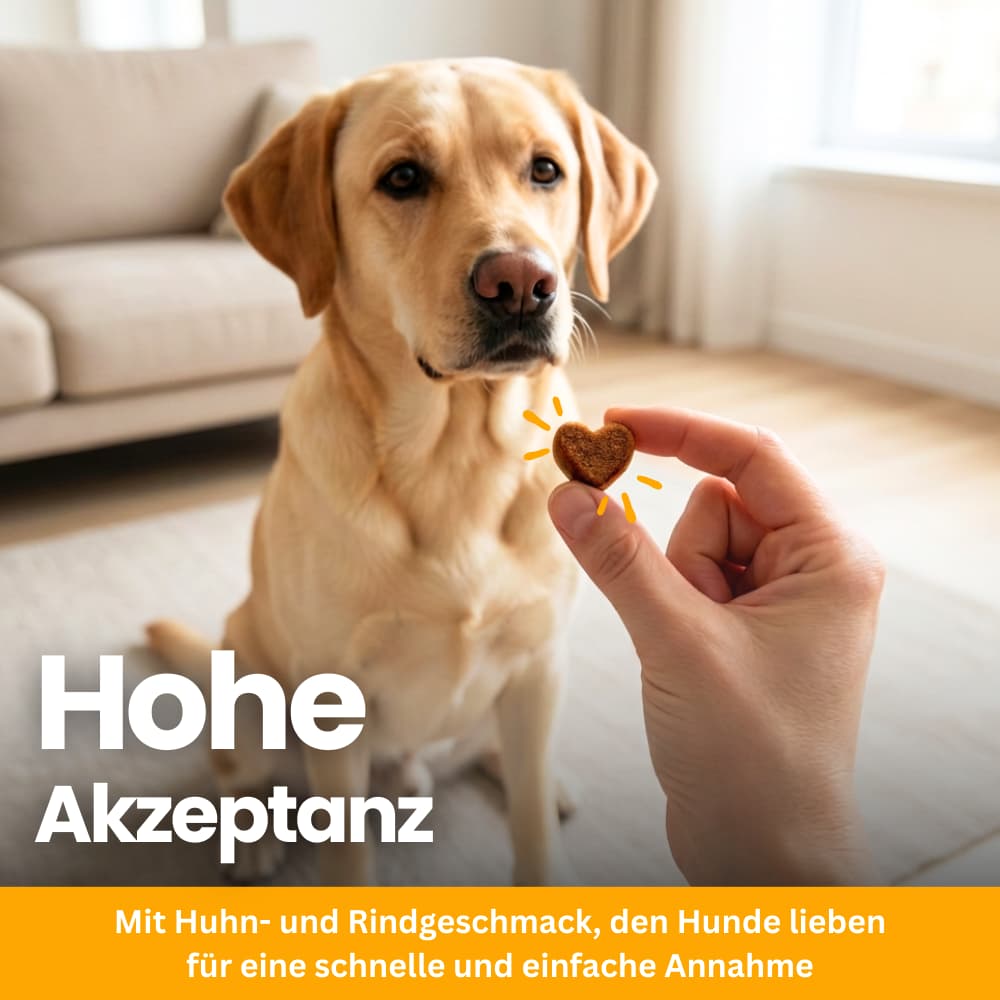 Probiotic Chews for Dogs – Gut & Immune System Support