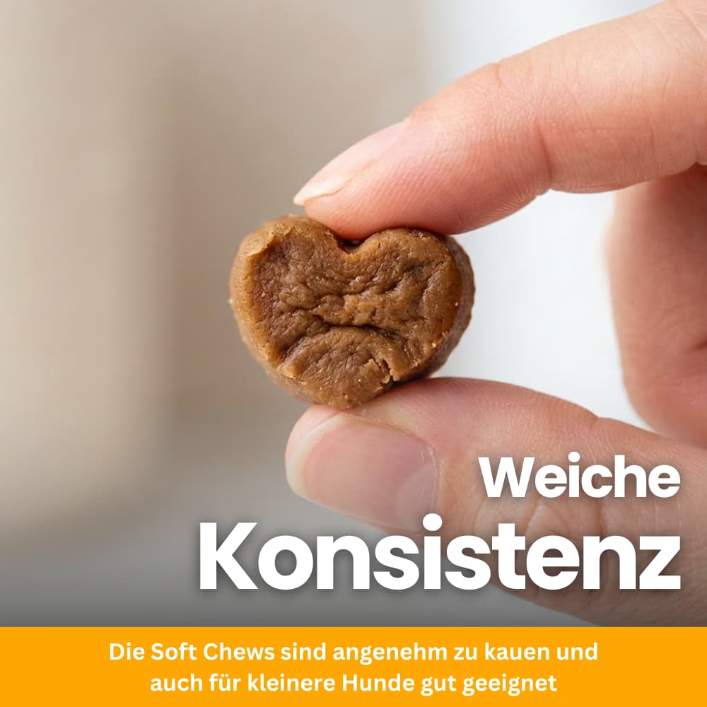 Probiotic Chews for Dogs – Gut & Immune System Support