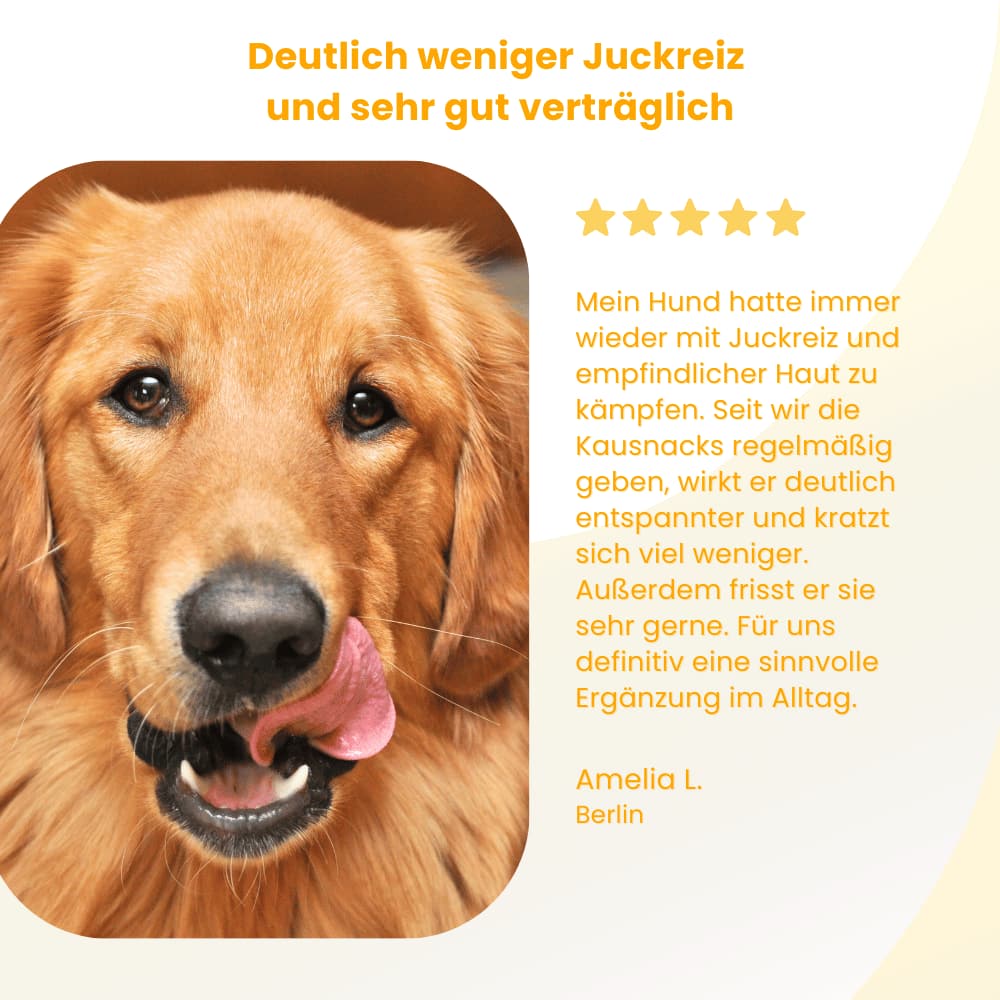 Allergy & Itch Relief Chew Snacks for Dogs