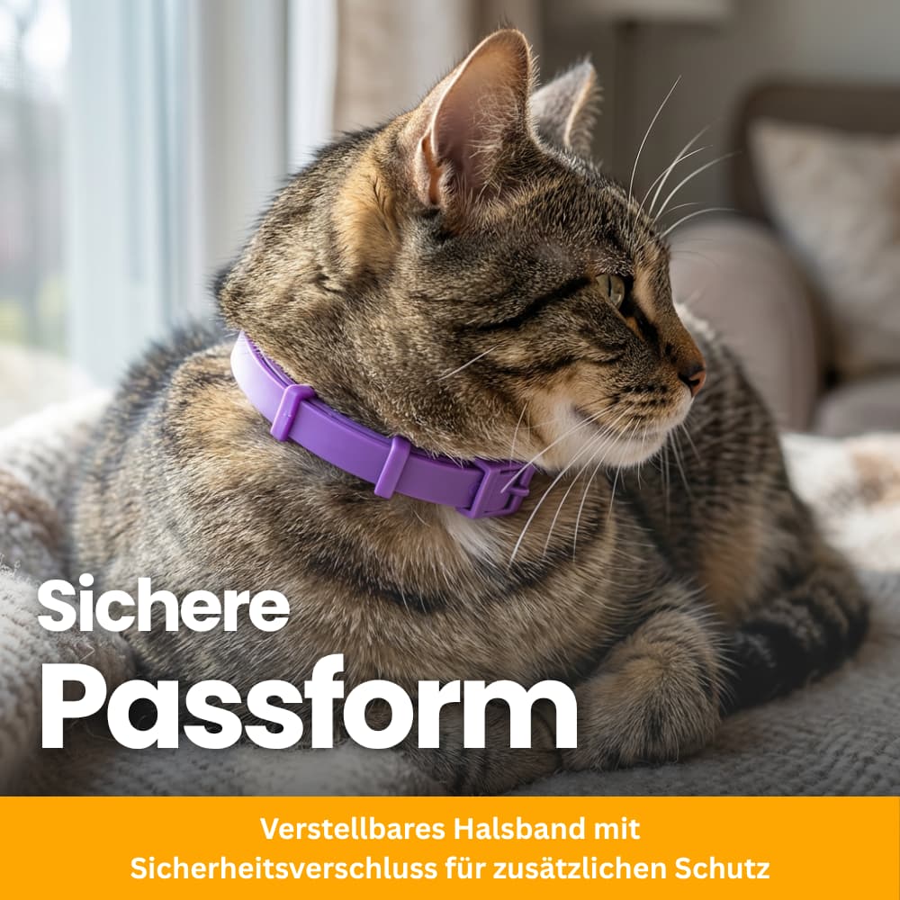 Pet-Friendly Anti-Stress Collar for Cats