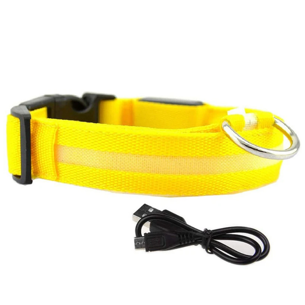 LED Light-Up Collar [Buy 1 Get 1 Free]