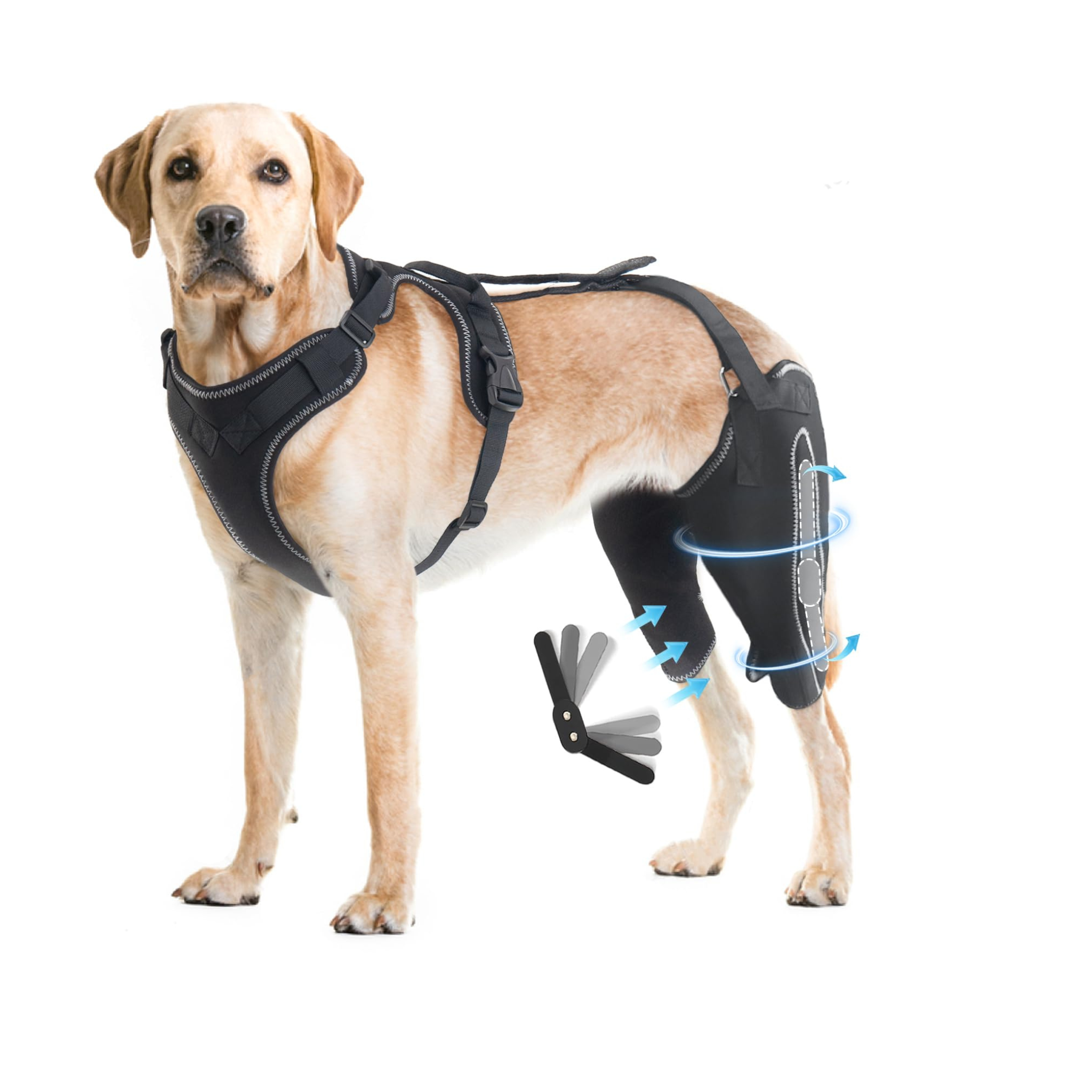 DualBrace – Hinged Leg Brace