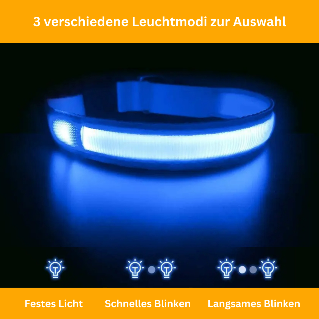 LED Light-Up Collar [Buy 1 Get 1 Free]