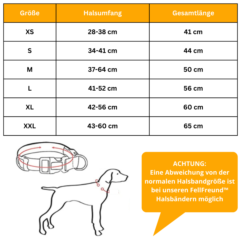 LED Light-Up Collar [Buy 1 Get 1 Free]