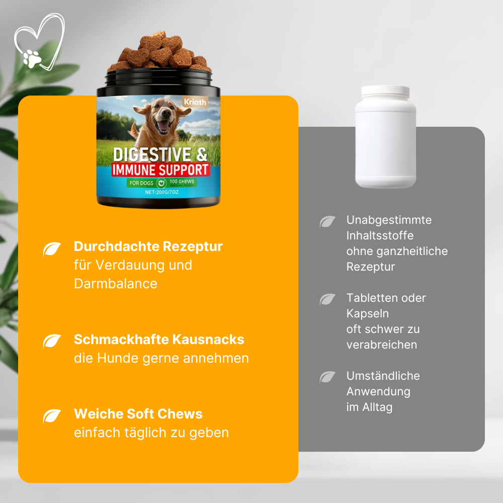 Probiotic Chews for Dogs – Gut & Immune System Support
