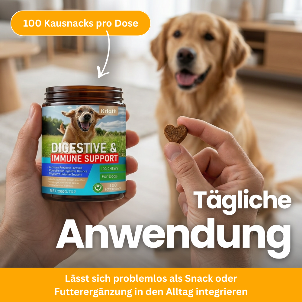 Probiotic Chews for Dogs – Gut & Immune System Support