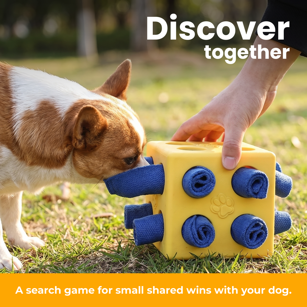 [en] Discover together