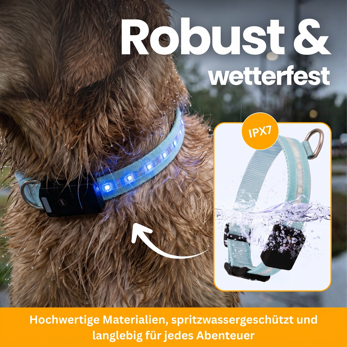 LED Light-Up Collar Pro