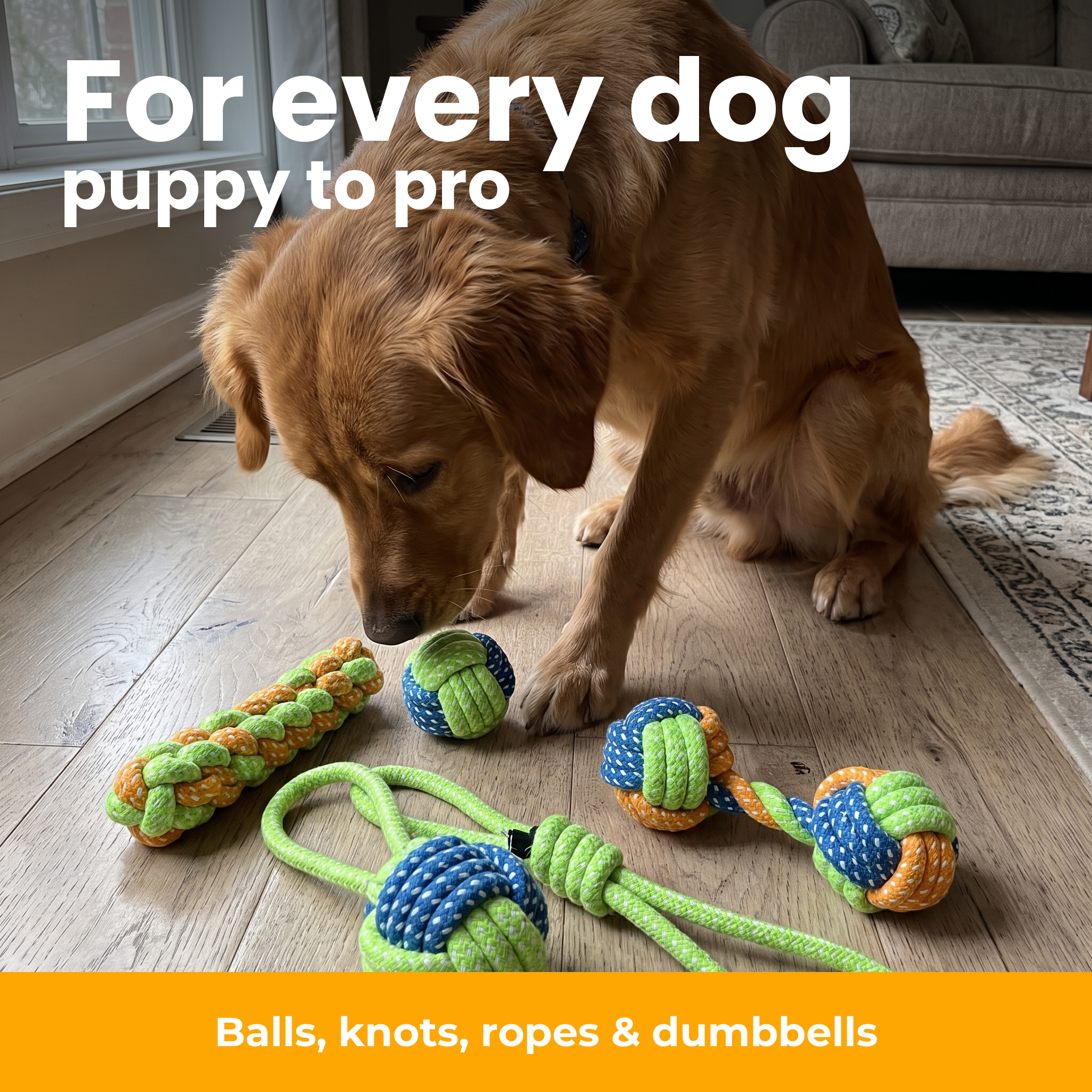 [en] For every dog
