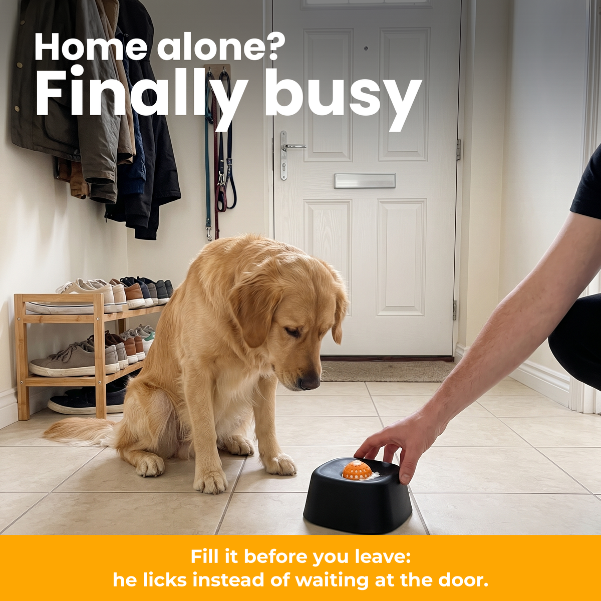 [en] Home alone? Finally busy