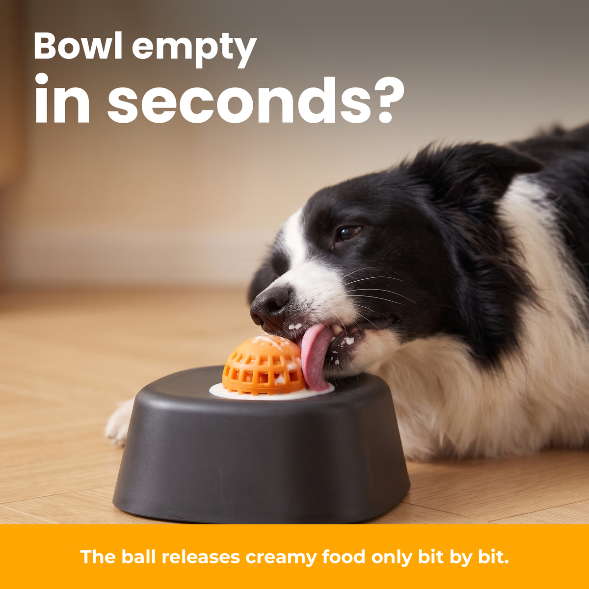 [en] Bowl empty in seconds?